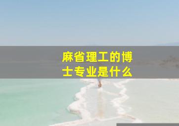 麻省理工的博士专业是什么