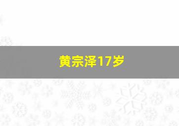 黄宗泽17岁