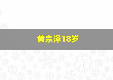 黄宗泽18岁