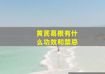 黄芪葛根有什么功效和禁忌