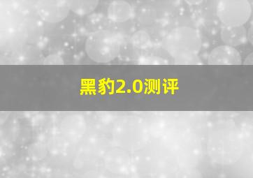 黑豹2.0测评