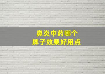 鼻炎中药哪个牌子效果好用点