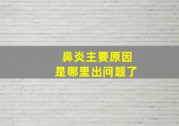 鼻炎主要原因是哪里出问题了