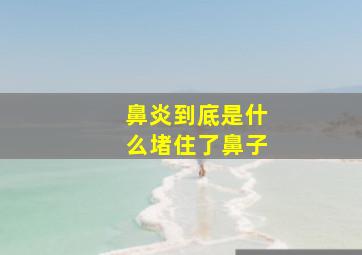 鼻炎到底是什么堵住了鼻子