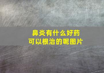 鼻炎有什么好药可以根治的呢图片