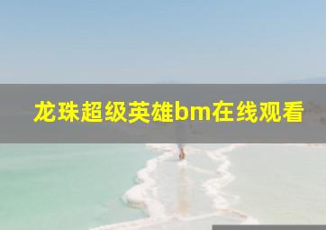 龙珠超级英雄bm在线观看